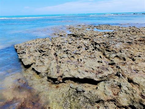 Praia do Espelho (Trancoso) - 2020 All You Need to Know BEFORE You Go (with Photos) - Tripadvisor