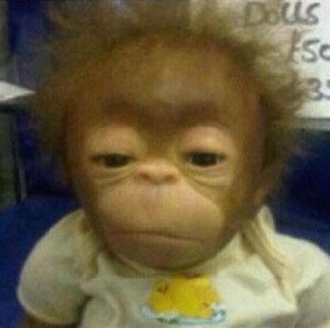 Bed head. Lol | Monkeys funny, Funny animal photos, Native humor