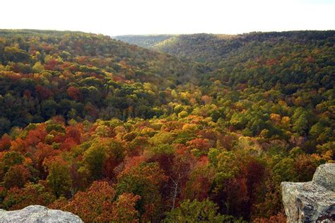 15 places to see autumn foliage in Alabama: It may be later this year ...