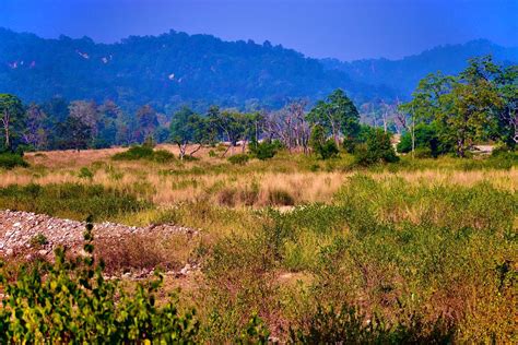 Best 7 Places To Visit in Jim Corbett (Local Sightseeing)