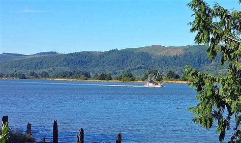 Willapa Bay Oysters - Flying The Koop