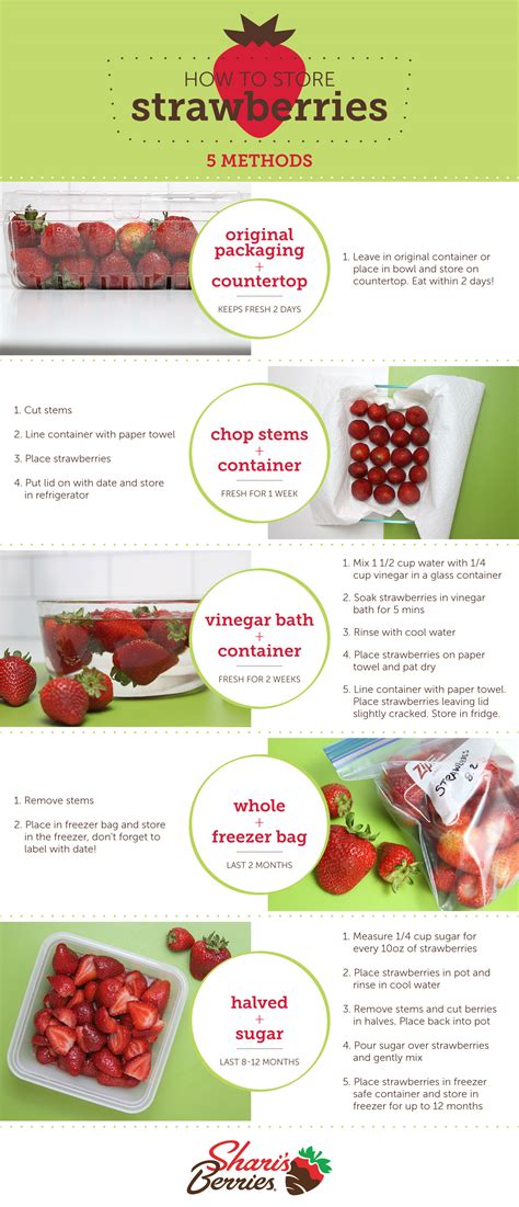 Strawberry Storage Guide: 5 Different Methods