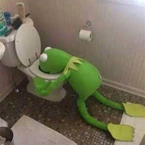 a green frog sitting on top of a toilet in a bathroom