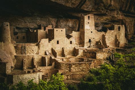 What to Expect on a Premium Mesa Verde Cliff Palace Tour | Mild to Wild