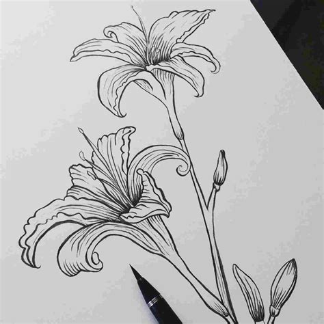 Flower Ink Drawing at PaintingValley.com | Explore collection of Flower ...