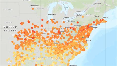 Hummingbird Migration 2024 Illinois Dates - Maia Sophia