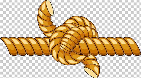 clipart rope 20 free Cliparts | Download images on Clipground 2024