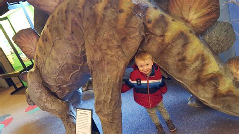 A Day Out in Dorset: Dinosaur Museum Dorchester - KidRated