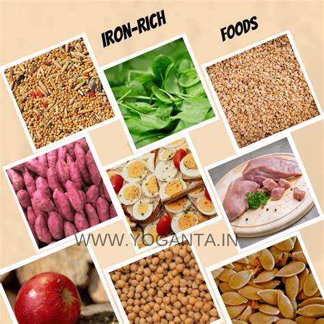 Top Iron-Rich Foods That Are Great Sources of Iron - Yoganta Blog