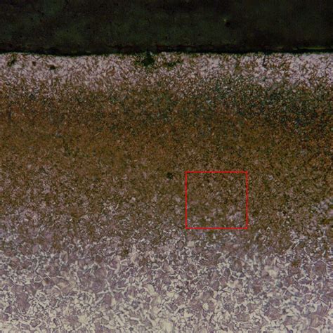 Depth of Decarburization of Steel - Clemex