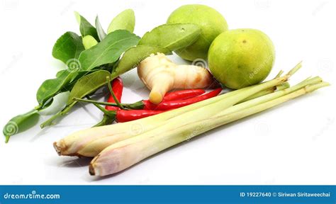 Thai food ingredients stock photo. Image of vegetable - 19227640