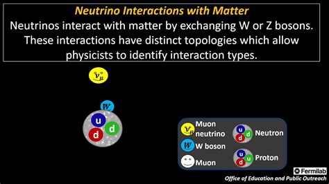 Neutrino Interactions with Matter - YouTube