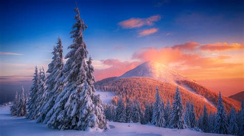 2048x1152 Snowy Pine Trees And Mountains 4k Wallpaper,2048x1152 ...