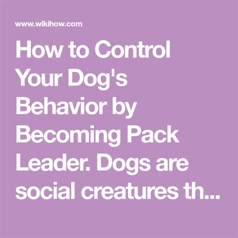 How to Control Your Dog's Behavior by Becoming Pack Leader | Pack ...