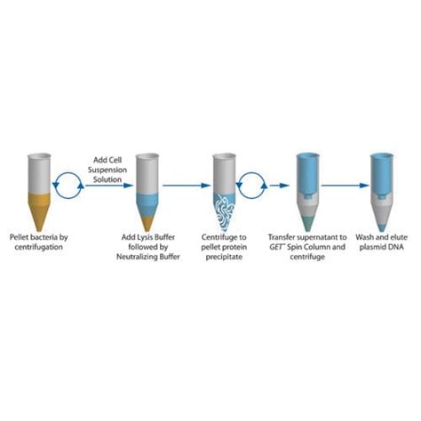 96-well Plasmid DNA Isolation