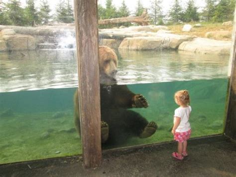 17 Adorable Zoo Animals That Are Happy to See Visitors