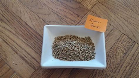 The Absolute Best Caraway Seeds Substitutes - Substitute Cooking