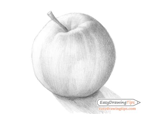 How to Draw a Apple Step by Step Easy - Best Cold Press Juicer