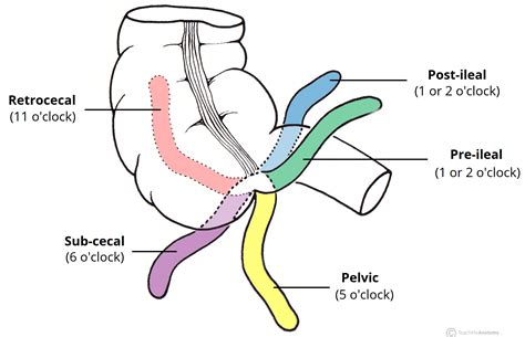 CENTRAL NERVOUS SYSTEM