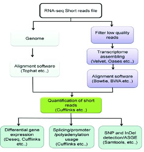 RNA-Seq project pipeline and commonly used programs. (see ...