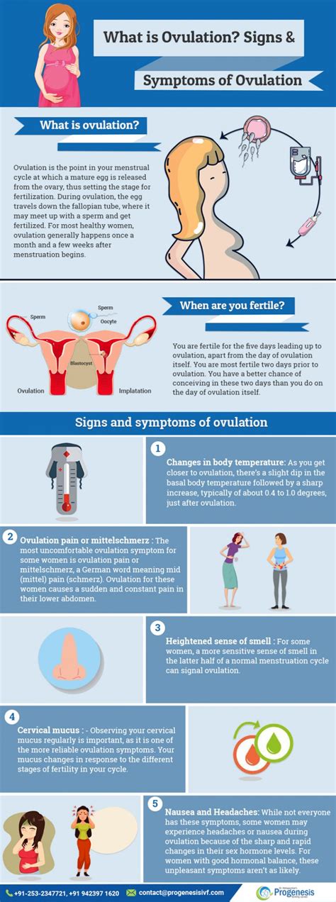 What Is Ovulation? Signs And Symptoms Of Ovulation