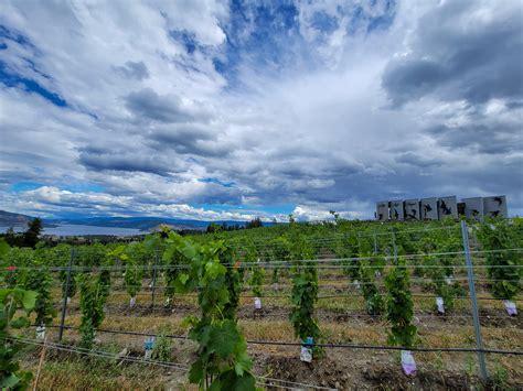 The Best Wineries in West Kelowna: A Self Guided West Kelowna Winery Tour