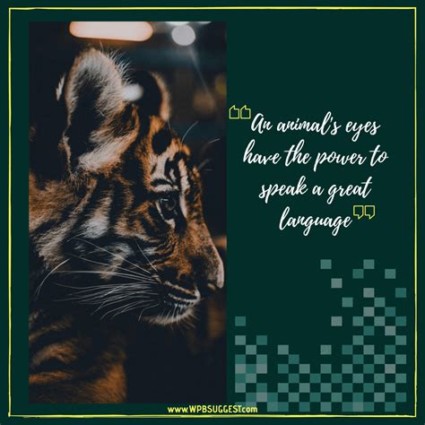 World Animal Day Quotes & Images 2019 | Whatsapp & Instagram Wishes