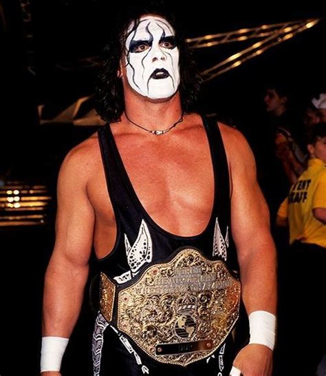 WCW Champion Sting Le Catch, Wrestling Stars, Wrestling Wwe, Wrestling ...