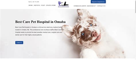 The Best Pet Care Website You'll See Today