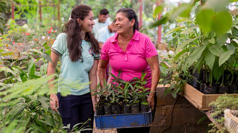 Costa Rica to Tackle Climate Change with New Resilience and Sustainability Facility - ecodaily.org