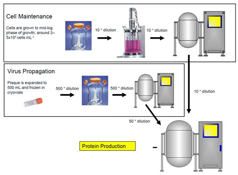 Vaccines | Free Full-Text | Innovations in the Insect Cell Expression ...