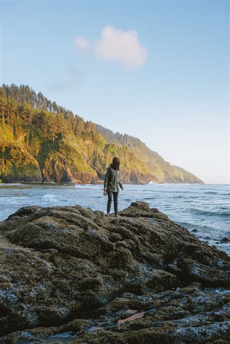 10 Hotels In Gold Beach, Oregon To Book For A Scenic Fall Retreat