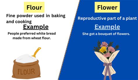 Flour vs. Flower-Difference between and examples