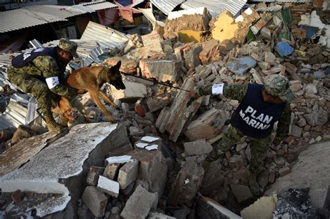 Mexico earthquake is strongest to hit country in 100 years