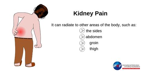 Kidney Pain Location