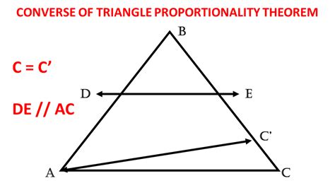 Triangle Proportionality Theorem (With Proof and Examples) - Owlcation