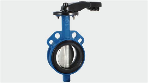 Butterfly valve | Centric with loose liner - AVK International