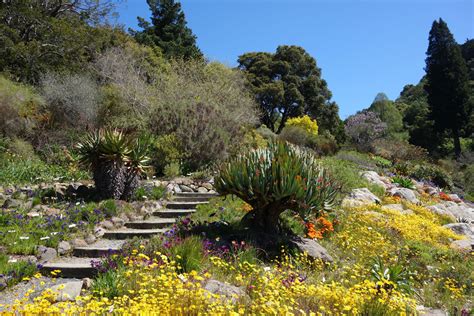 The 7 Best Bay Area Gardens for Romance and Relaxation