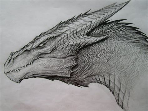 Dragon Sketch by TatianaMakeeva.deviantart.com on @DeviantArt | *~Artistic Things~* | Pinterest ...