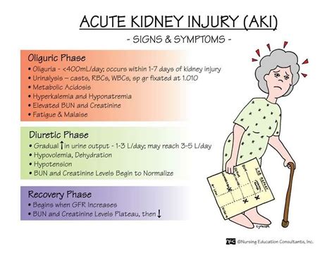 Acute Kidney Injury