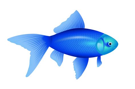 Blue Fish Png Image Transparent HQ PNG Download | FreePNGImg