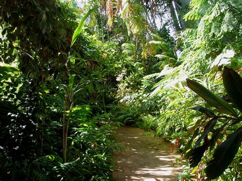 Bicentennial Conservatory. Adelaide Botanic Gardens. SA | Flickr