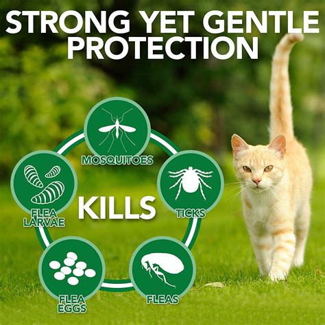 Natural Flea and Tick Home Spray for CATS, 32 oz - Naturally For Pets