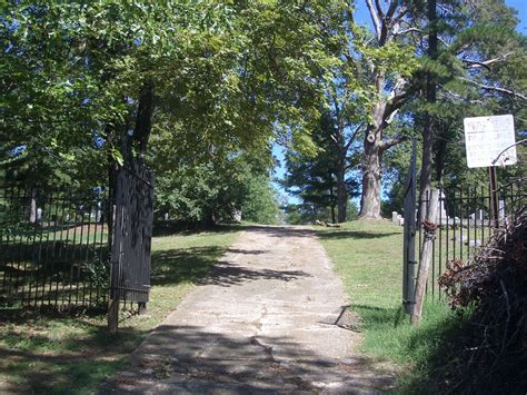 The Gothic Embrace: A Walk Through the Evergreen Cemetery