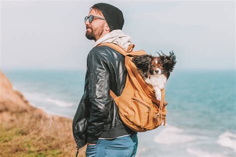 BEST Dog Backpack Carrier for Hiking With Your Pup in 2023
