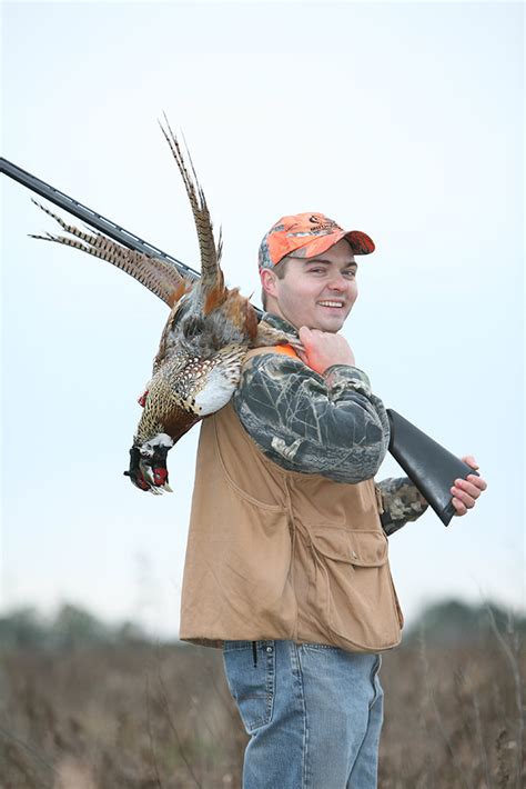 Best Tips for Pheasant Hunting with Dogs - Game & Fish