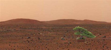 NASA Plans To Plant A Garden On Mars Soon