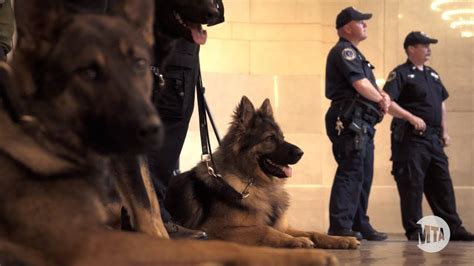 MTA Police Canine Graduation Spring 2013 - YouTube