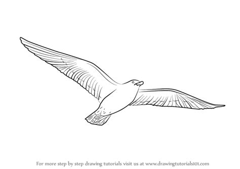 How to Draw a Flying Bird (Birds) Step by Step | DrawingTutorials101.com