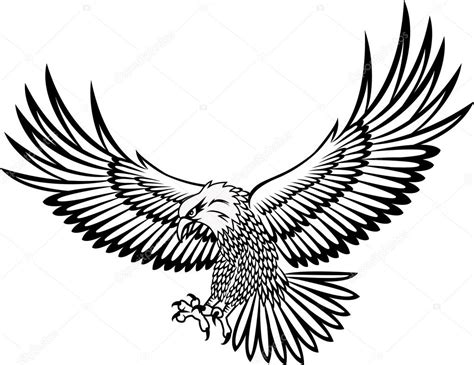 Eagle vector Stock Vector by ©dagadu 5589313